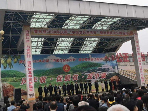 促增收，助脫貧——雙龍鎮(zhèn)參加全縣消費(fèi)扶貧產(chǎn)品展銷會(huì)，開展經(jīng)營助力打贏脫貧攻堅(jiān)戰(zhàn)